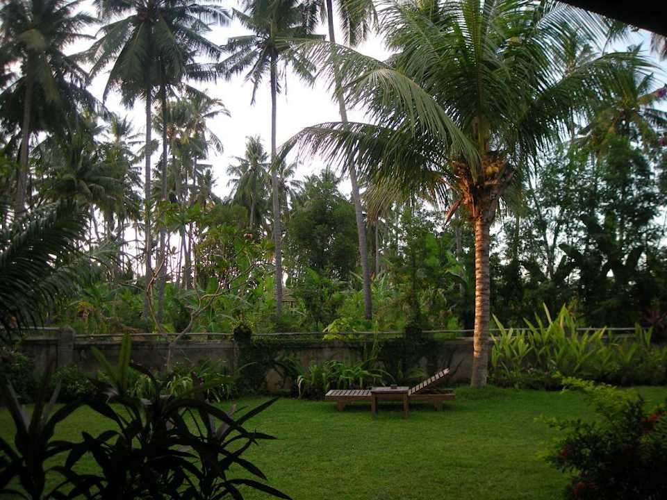 Blick auf die Kokos Palmen Saraswati Holiday House