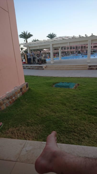 Aussicht aus dem Zimmer  Beach Albatros Resort