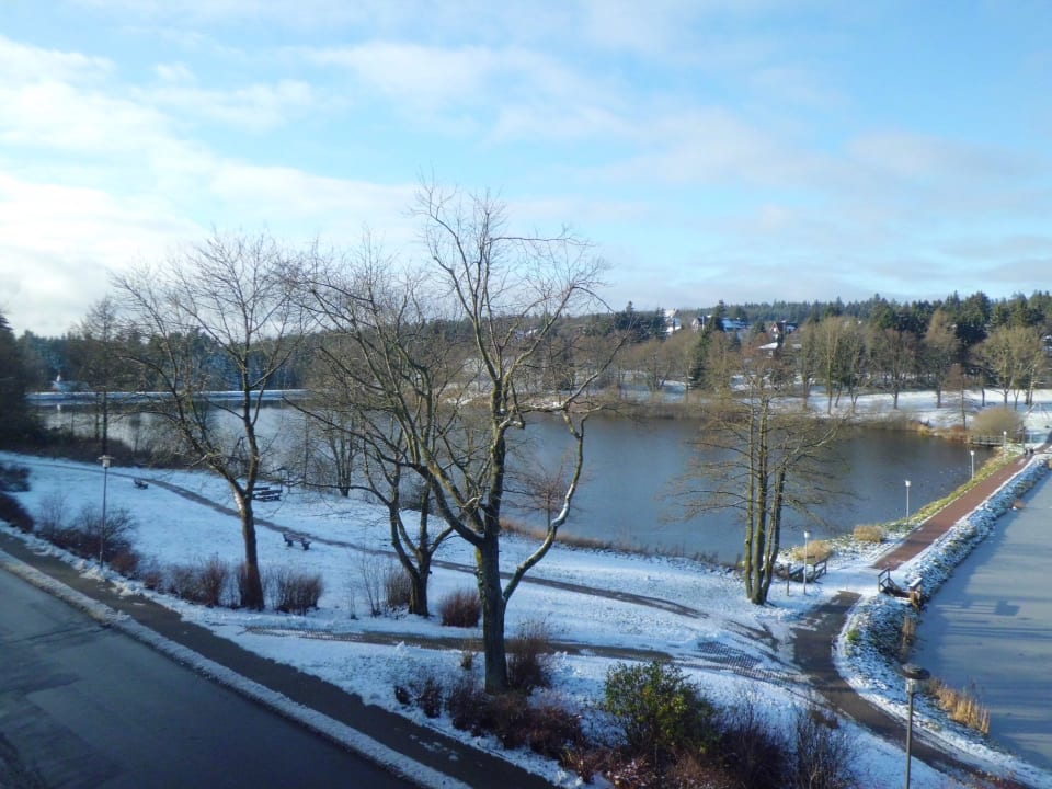 Seerose Ausblick Hotels am Kranichsee