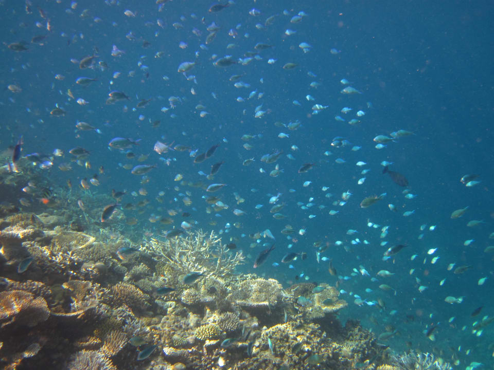 Embudu Juni 2013 Embudu Village