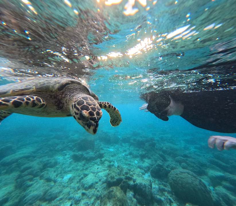 Strand Vilamendhoo Island Resort & Spa