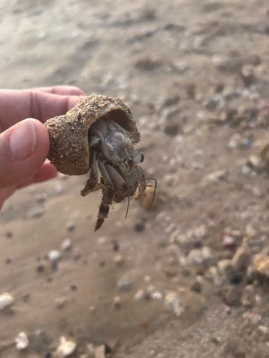 Sonstiges TUI MAGIC LIFE Kalawy