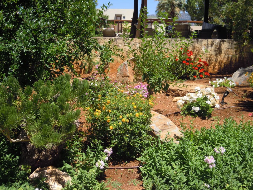 Gartenanlage Phãea Cretan Malia
