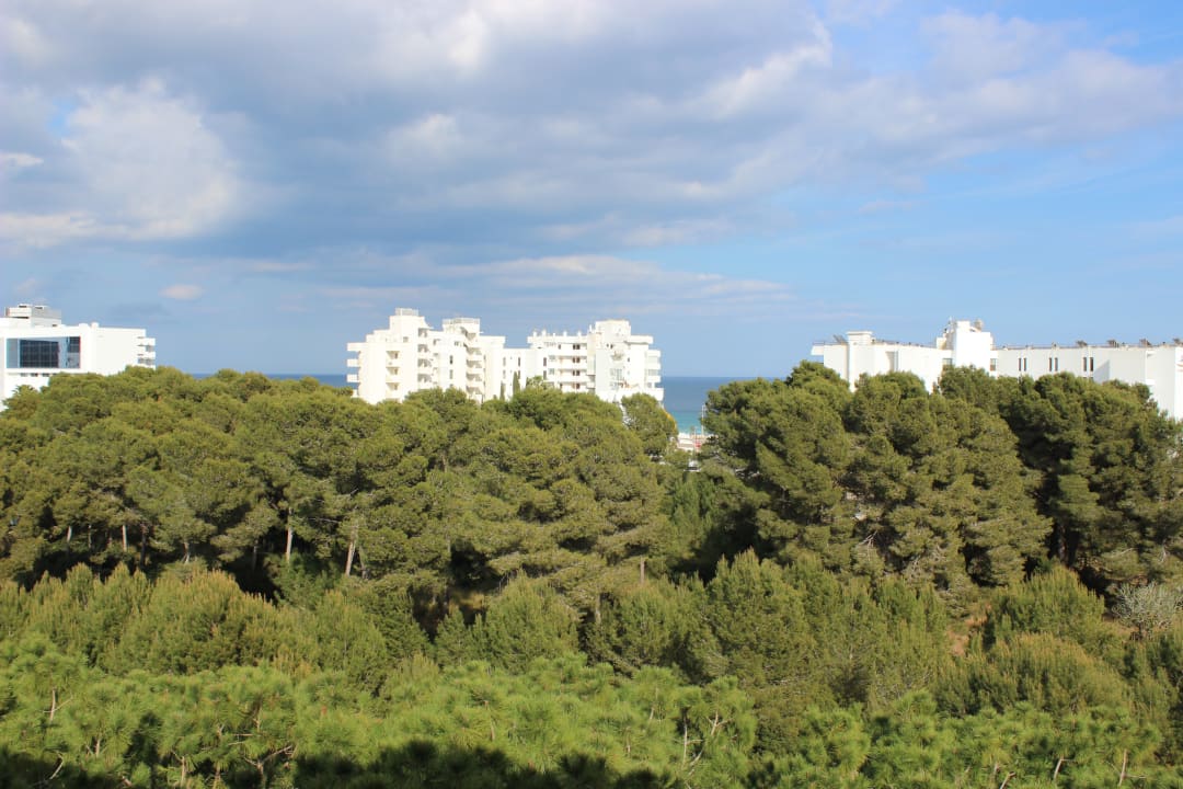 Ausblick Hipotels Hipocampo Palace & Spa
