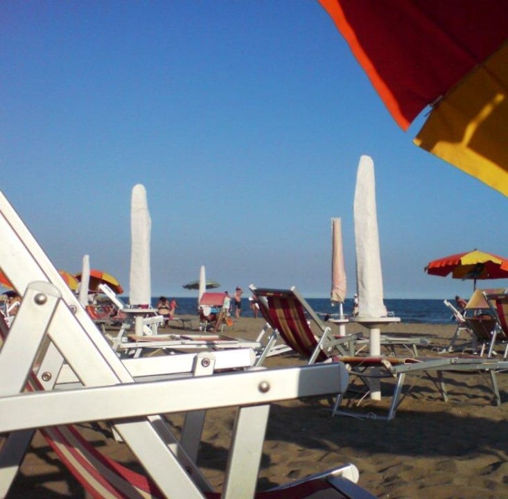 Liegestühle Hotel Cavallino Bianco