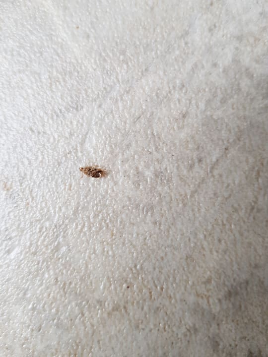 Zimmer Camping Park Umag Mobile Homes