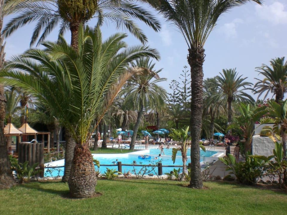 Blick auf den Pool HL Miraflor Suites Hotel