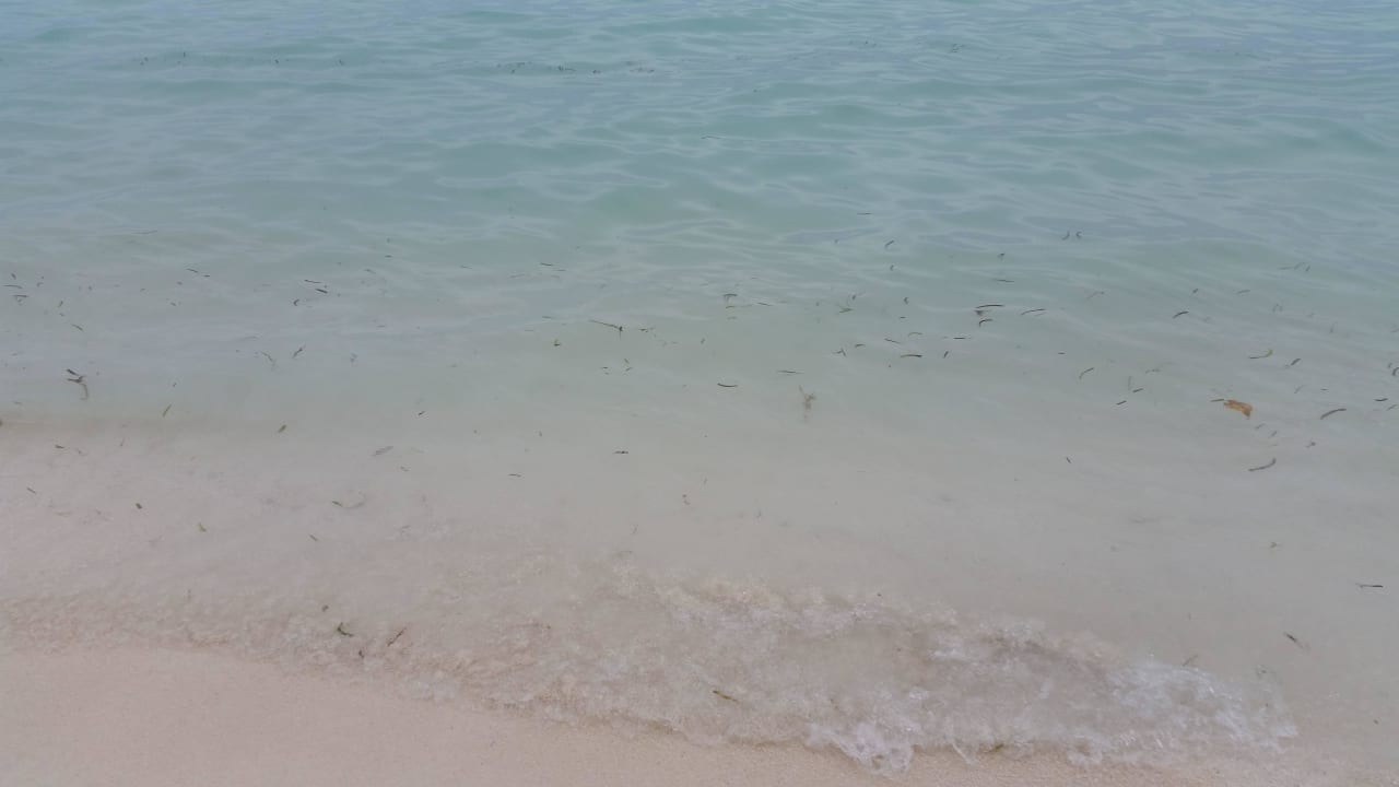 Strand bei 600er Bungis Meeru Maldives Resort Island