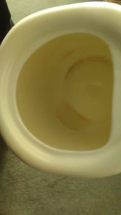 Zimmer Fitzpatrick Castle Hotel Dublin