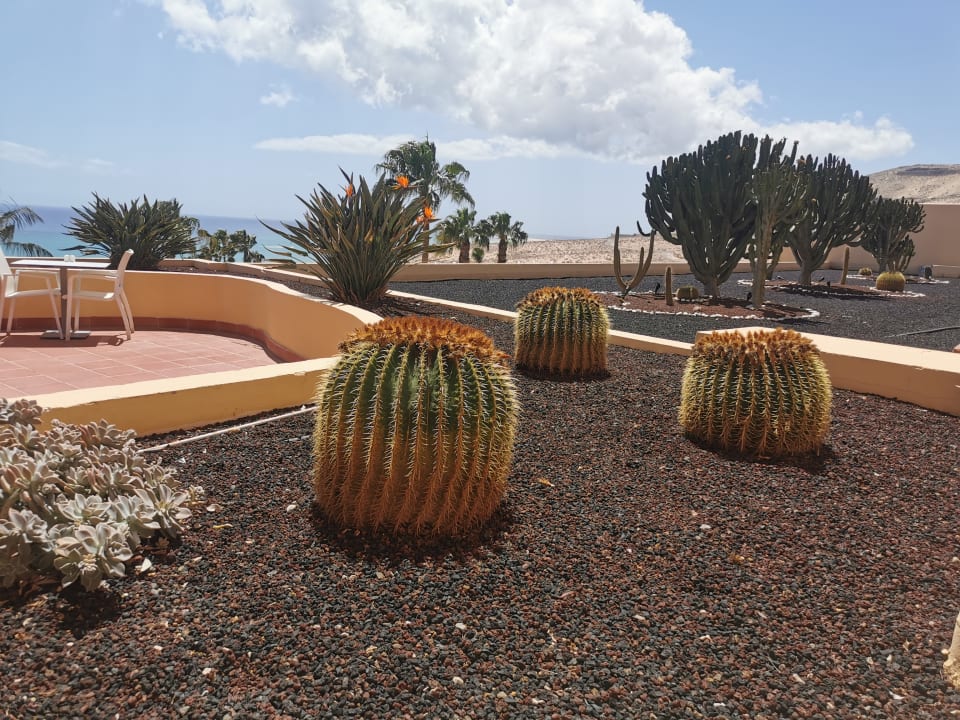 Gartenanlage H10 Playa Esmeralda - Adults only