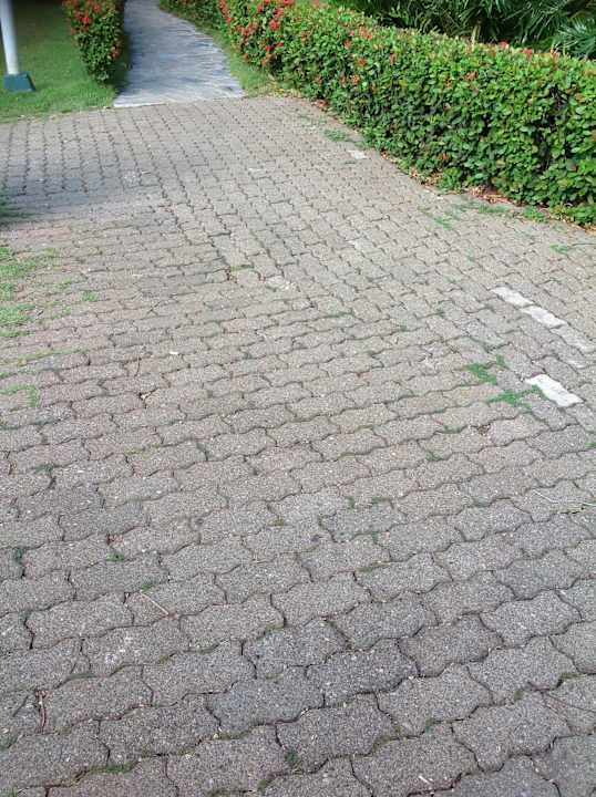 Weg Wyndham Alltra Samana