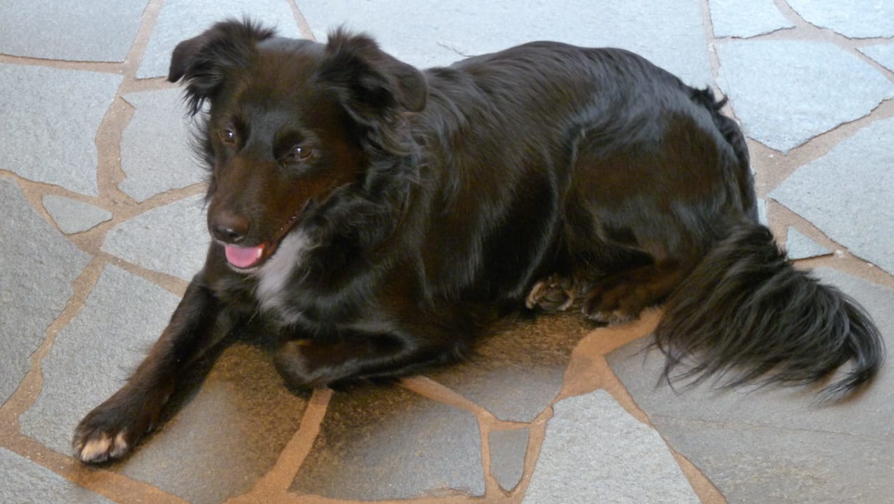 Fritzi Bärnsteinhof Gasthof mit Herz