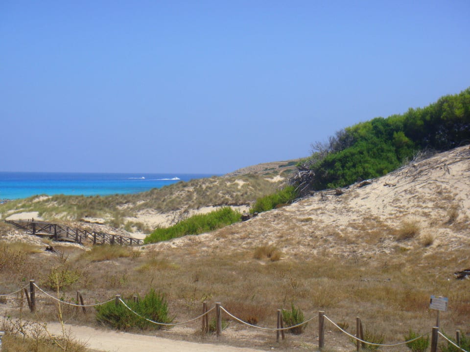 Tolle Bucht Zafiro Cala Mesquida