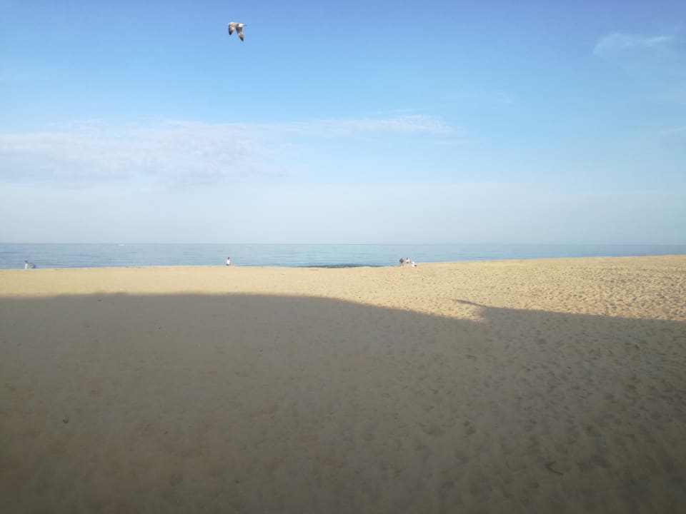 Strand HVD Clubhotel Miramar