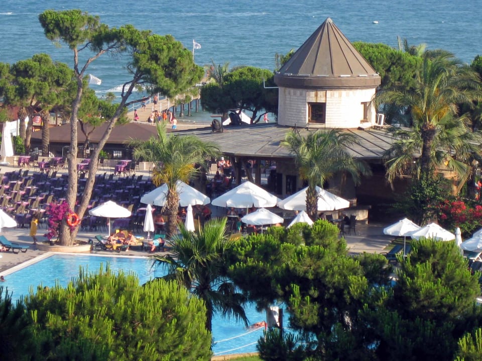 Poolbar und Terrasse  Papillon Ayscha