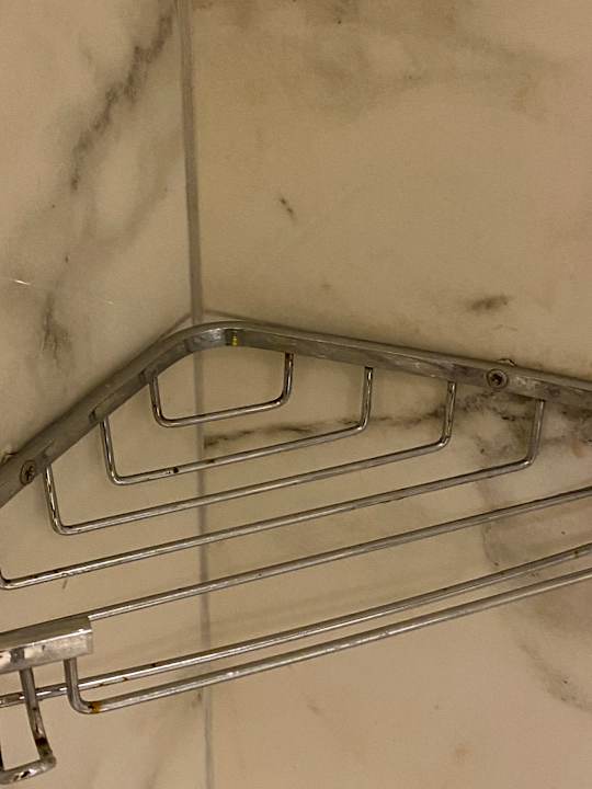 Zimmer Hotel Orfeus Park