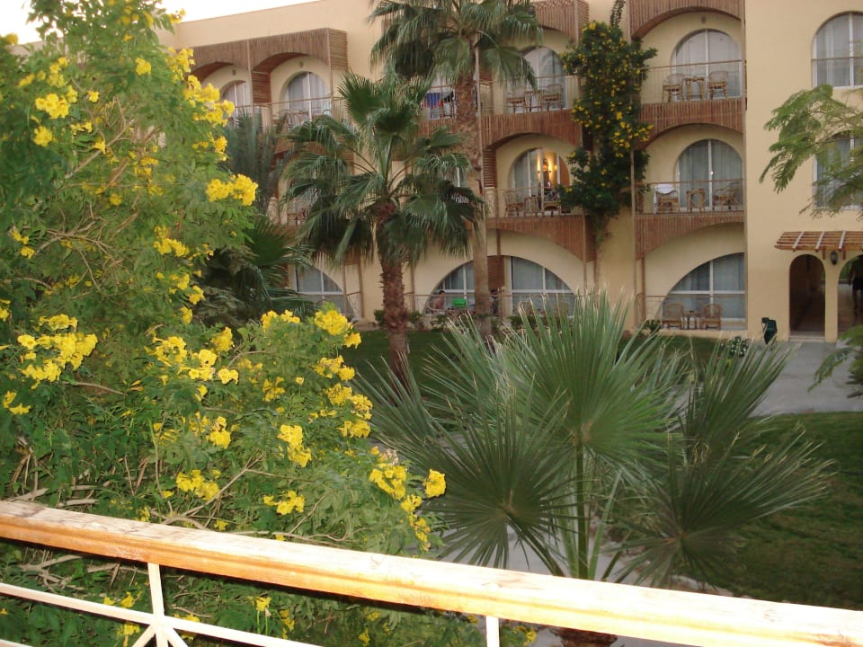 Вид из номера Desert Rose