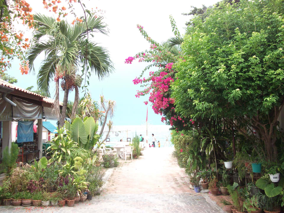 Restaurant & Pool * Gartenanlage Hotel P&P Resort