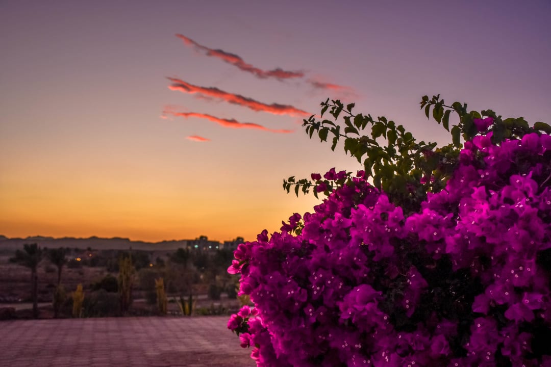 Ausblick Three Corners Equinox Beach Resort