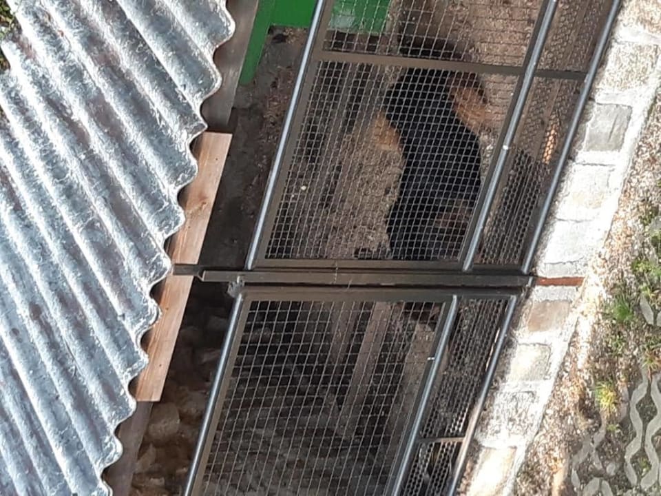 Ausblick Hotel Zur Wildbahn