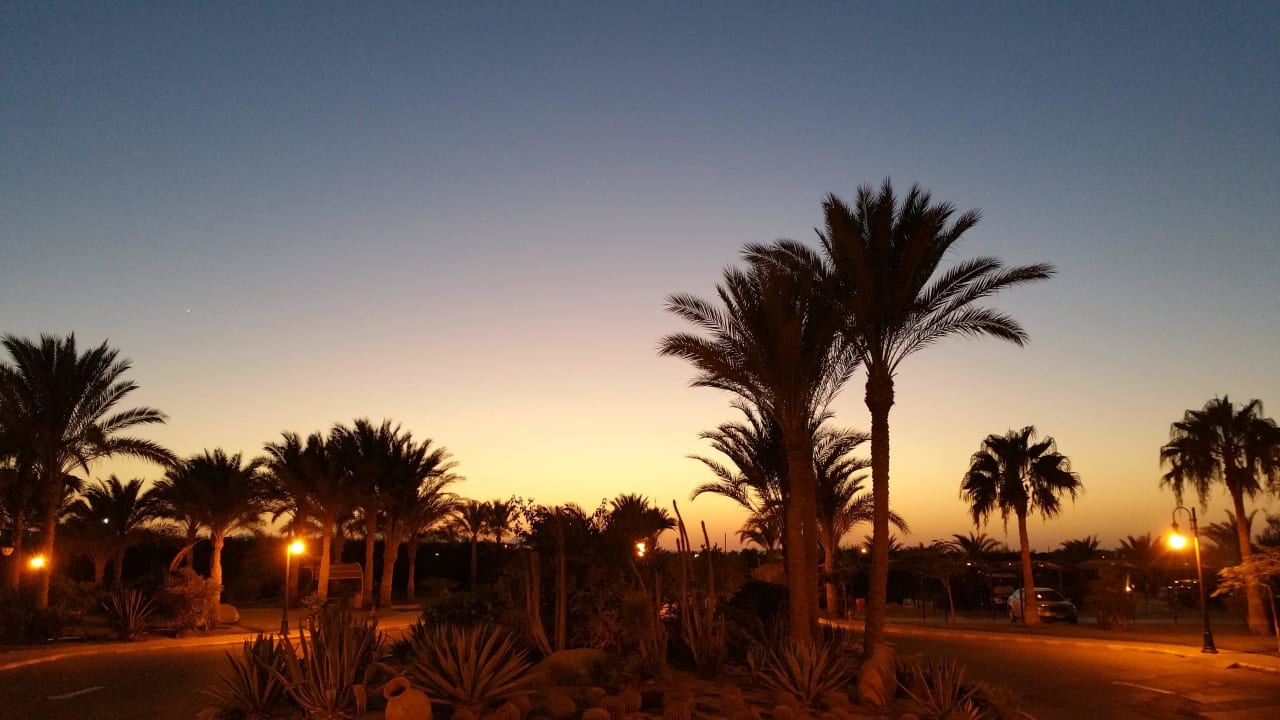 Sonnenuntergang vom Haupteingang aus gesehen Steigenberger Coraya Beach - Adults only