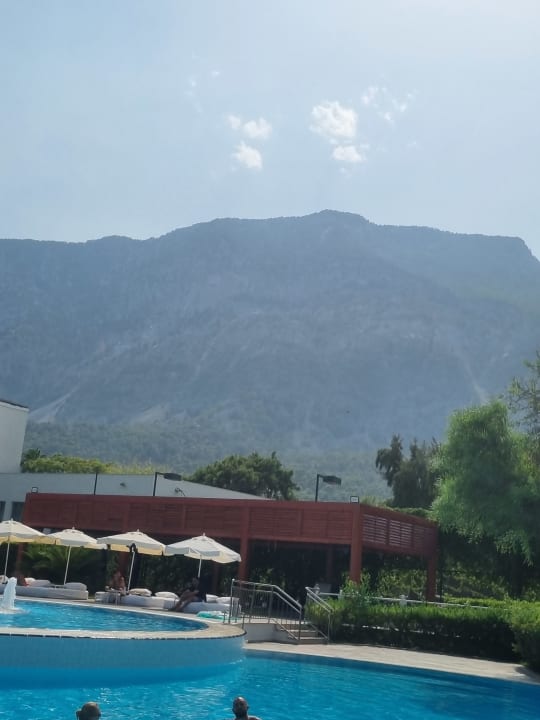 Pool TUI MAGIC LIFE Beldibi +16