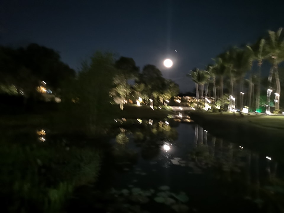 Gartenanlage Dusit Thani Krabi Beach Resort