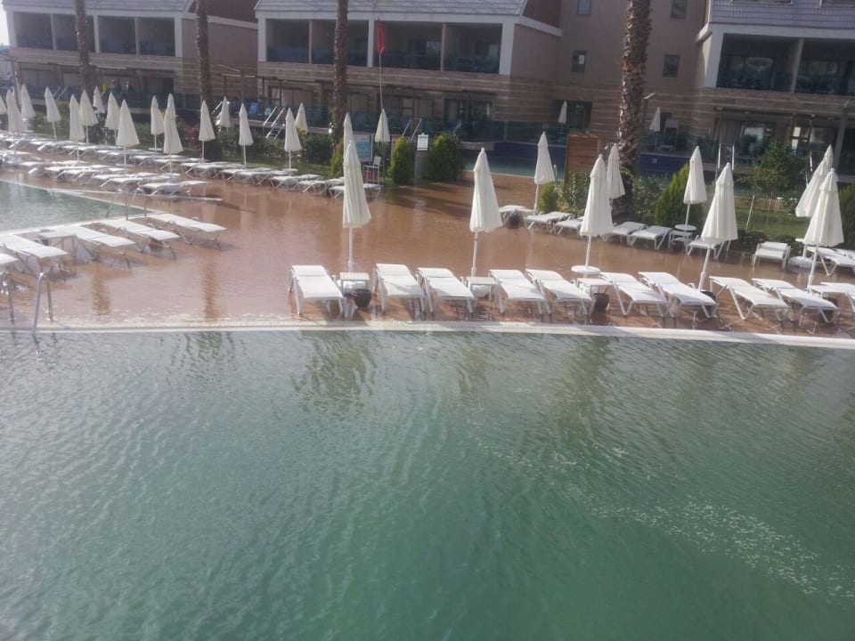 Ohne Worte TUI MAGIC LIFE Jacaranda