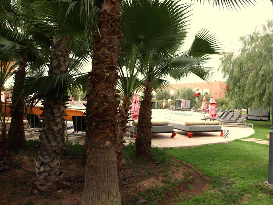 Zum Pool Hotel Kenzi Club Agdal Medina