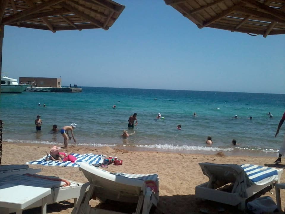 Alles ziemlich dicht an dicht Palm Beach Resort