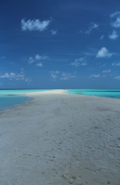 Sandbank Kuramathi Maldives