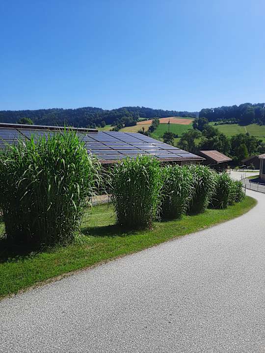 Gartenanlage Familotel Schreinerhof