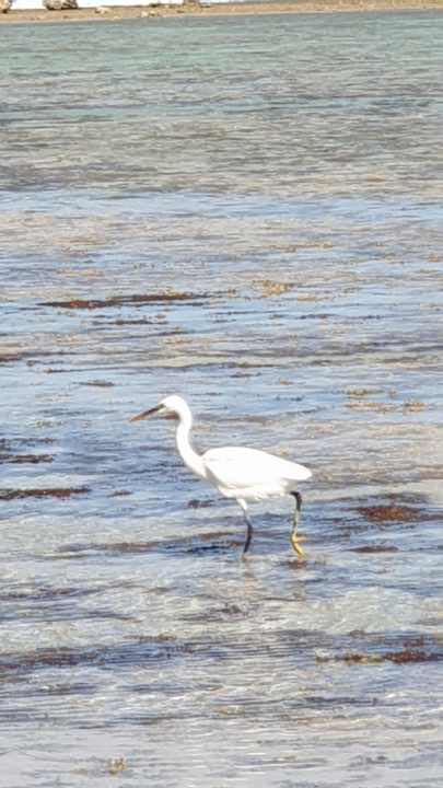 Sonstiges Lazuli Hotel Marsa Alam