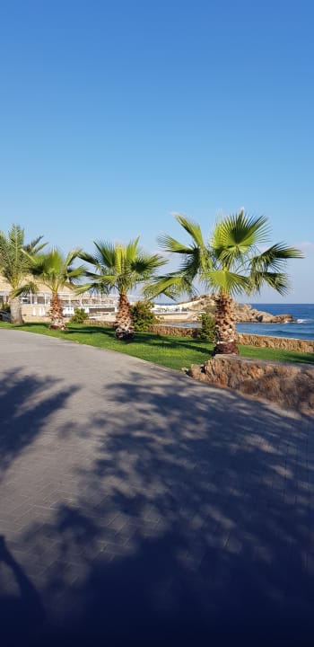 Gartenanlage Acapulco Beach Club & Resort