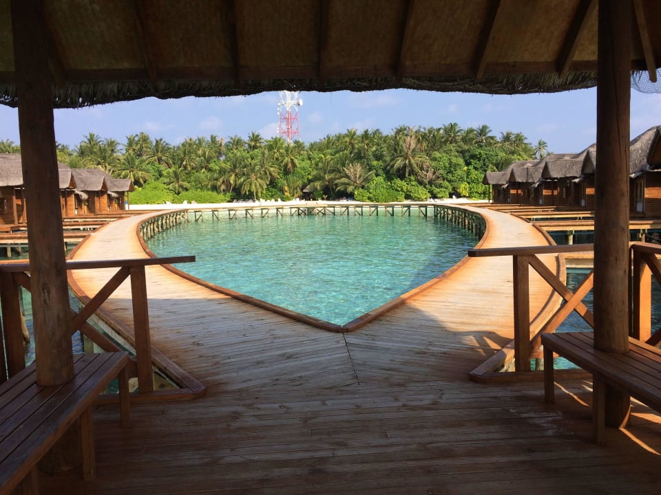 Sicht auf Strandabschnitt Fihalhohi Maldives