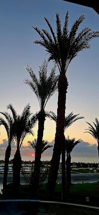 Ausblick Iberostar Waves Averroes