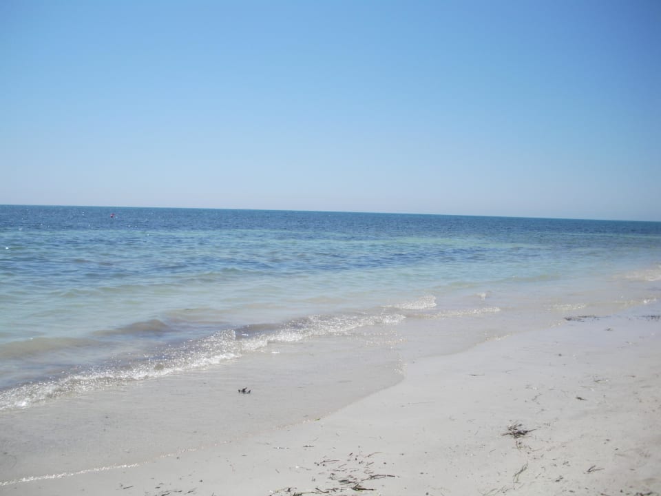 Sauberer Strandabschnitt Hotel El Mouradi Djerba Menzel