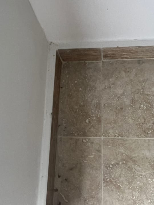 Zimmer Hotel Viva Dominicus Beach by Wyndham - All Inclusive Resort