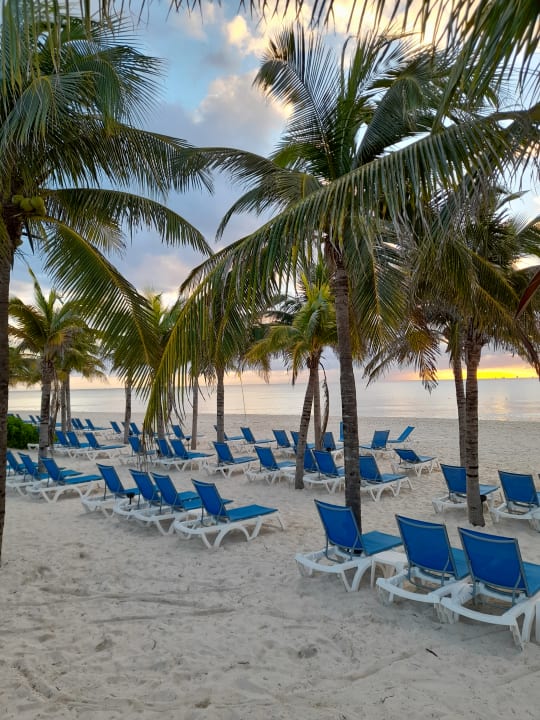 Strand Allegro Playacar