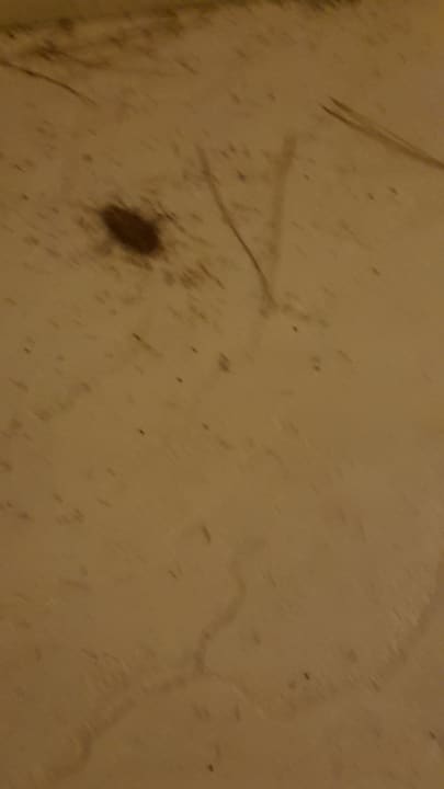 Gartenanlage Heronissos Hotel