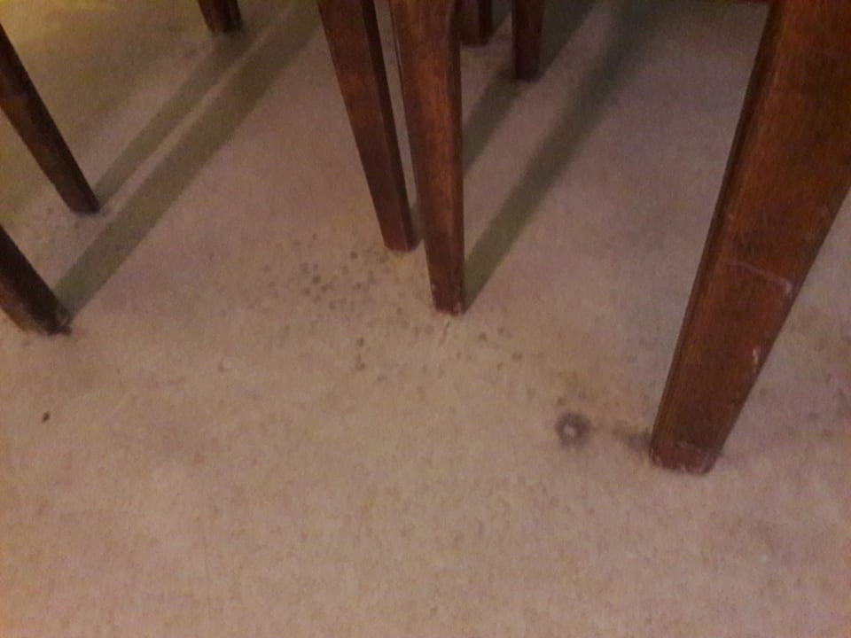 Zimmer Panoramic - Ihr Apartmenthotel im Harz