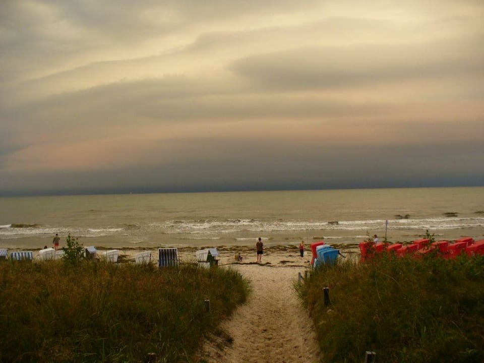Strand vorm Hotel IFA Rügen Hotel & Ferienpark