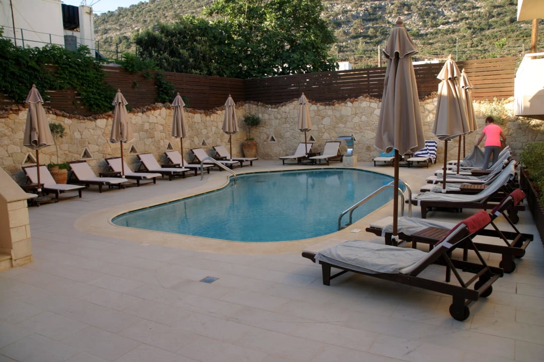 Kleiner Pool Cactus Royal