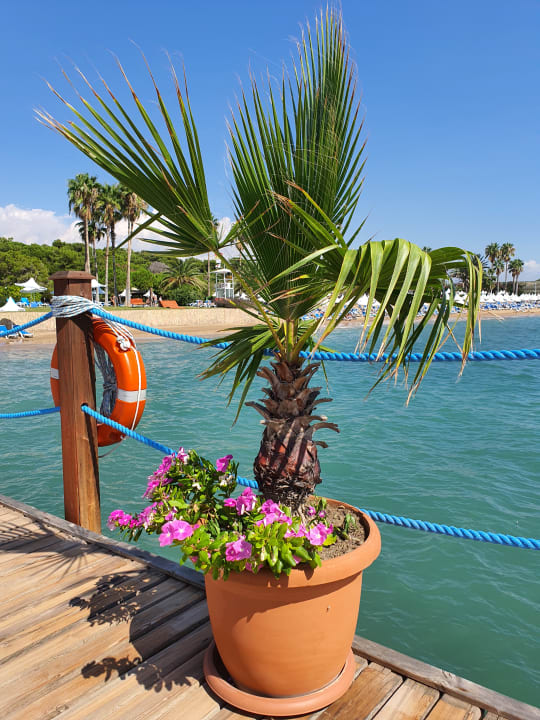 Strand Turquoise Hotel