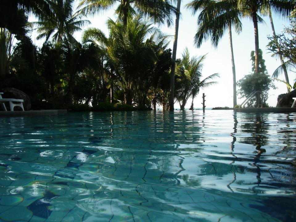 Poolansicht in Richtung Meer Coconut Tropicana T 1