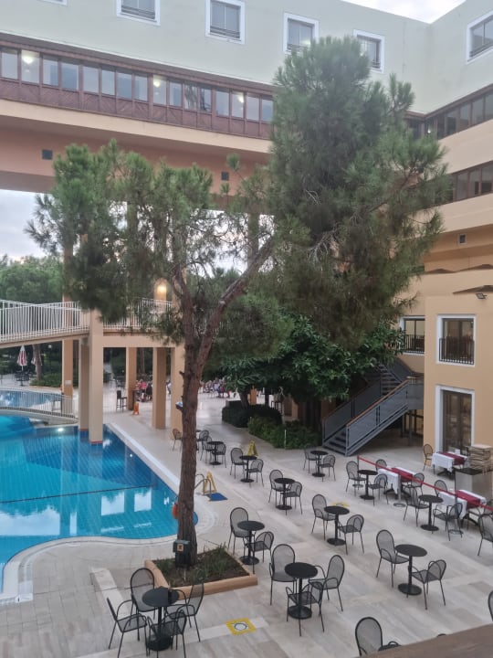 Pool Asteria Collection Side