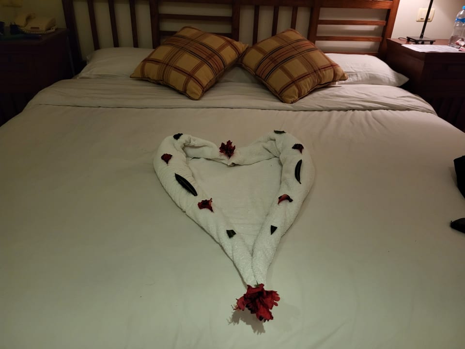 Zimmer Grand Waterworld Makadi & Family Star Makadi