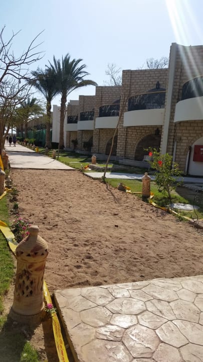 Garten Aladdin Beach Resort