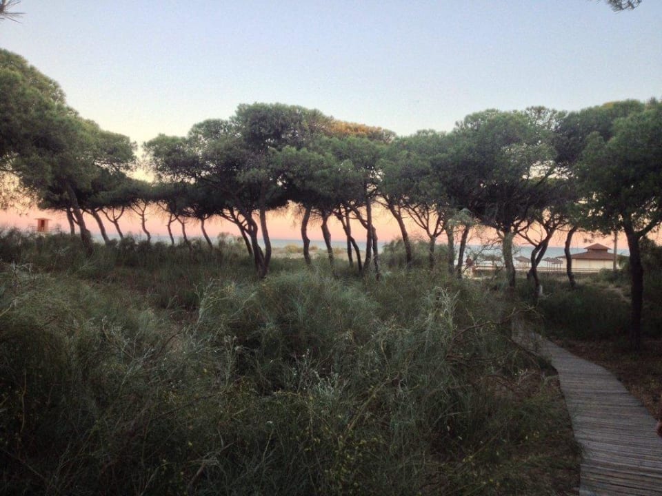 Der Weg zum Strand  TUI BLUE Isla Cristina Palace