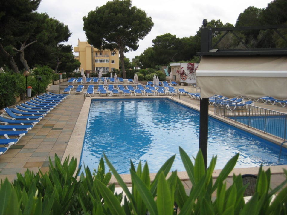Pool Hotel Timor